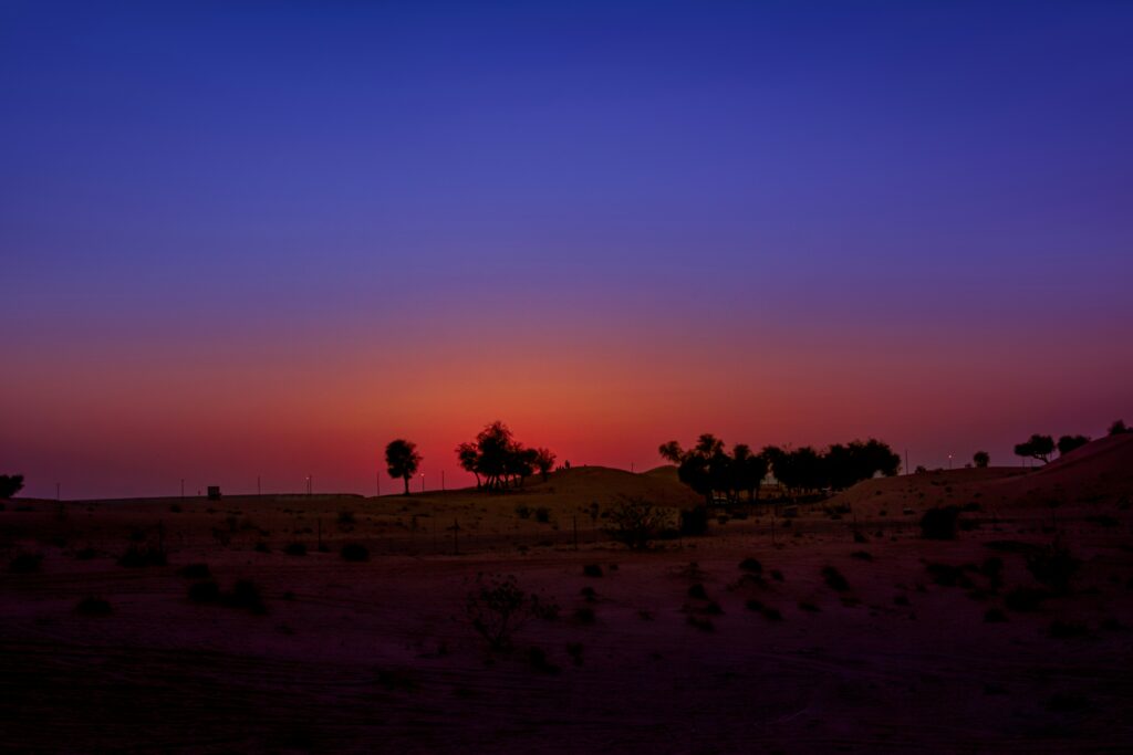 An evening in Arabian Nights Desert Safari in Dubai