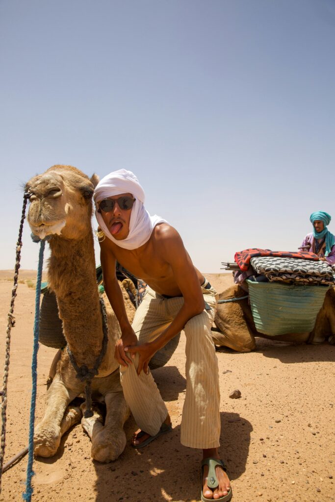 Camel Ride Abu Dhabi Camel Riding Camel Ride Abu Dhabi
