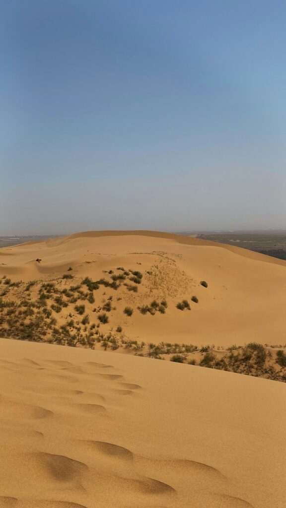 A Desert in Dubai Desert View