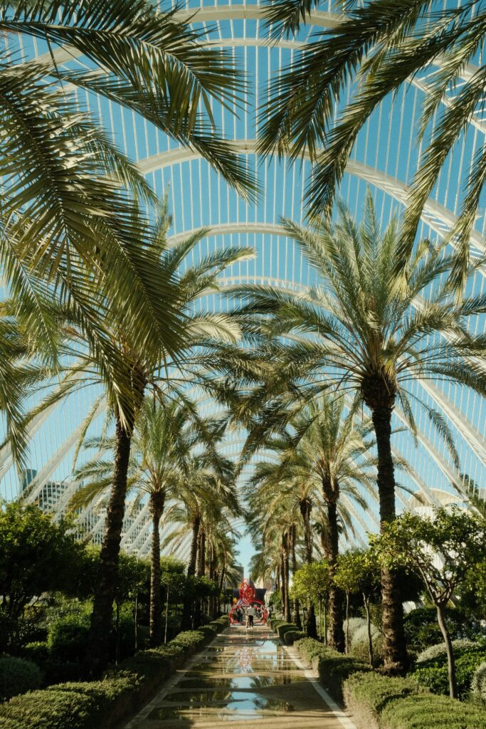 Dubai Parks A Group of Trees in Dubai Parks