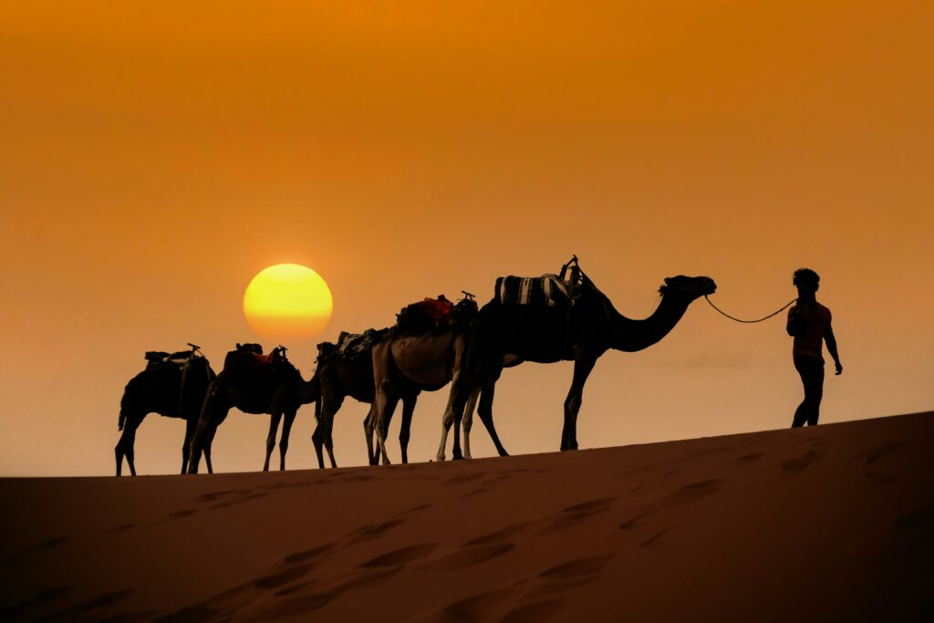 A Man With CamelsDubai Ticket Packages