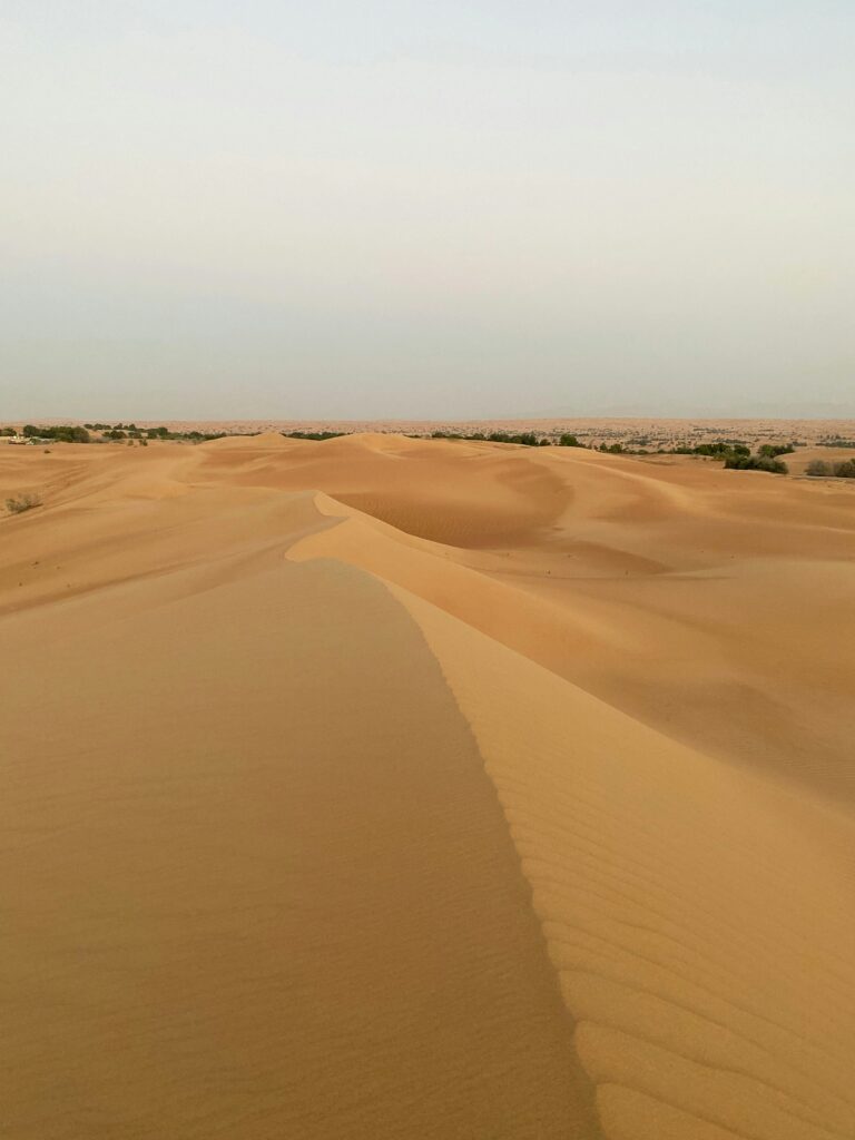  Sandy Area in Desert inDubai Desert View