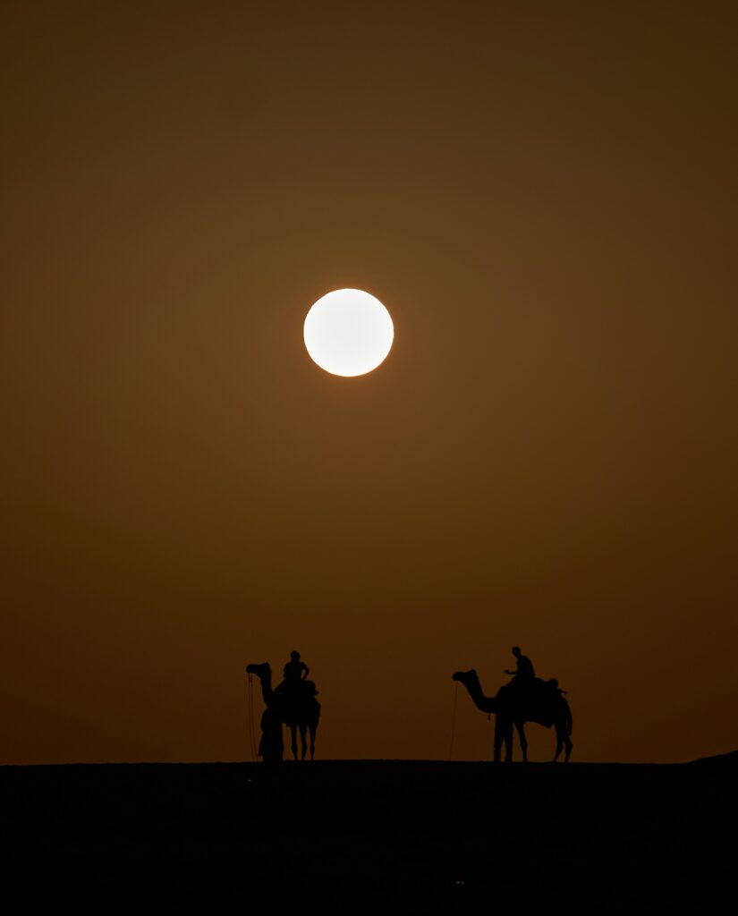Camels At Morning in Desert Morning Desert Safari Dubai