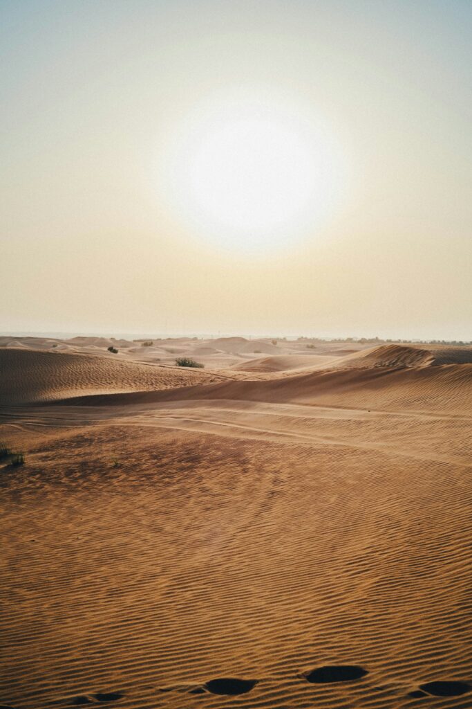 Dubai Wüstenausflug Sun In Desert Dubai Wüstenausflug