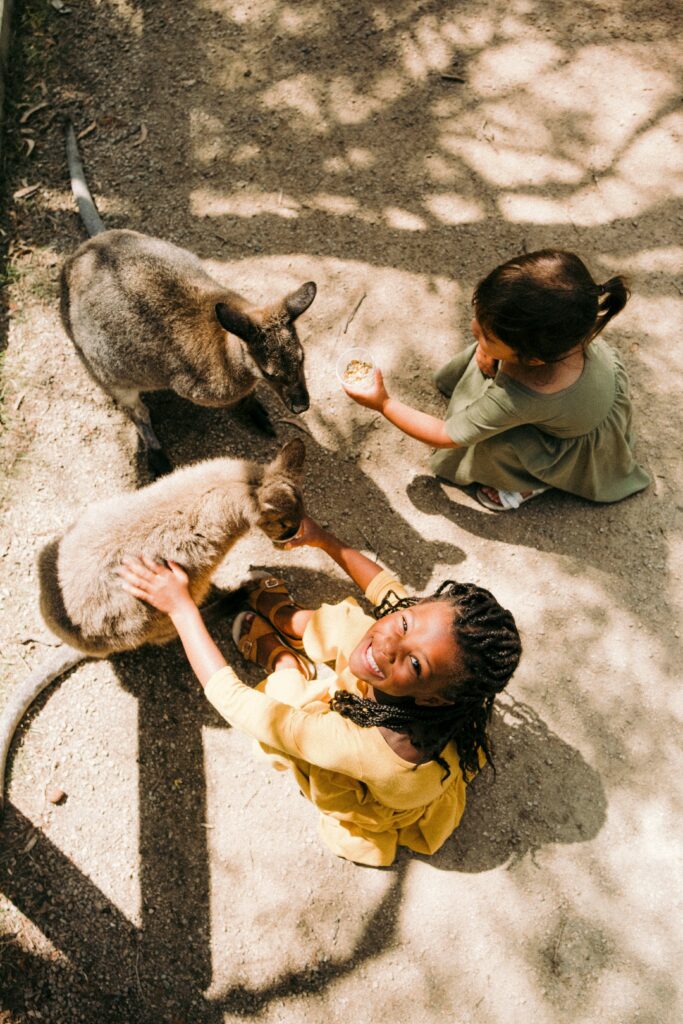Petting Zoo Dubai A litle Girl Petting a Cat Petting Zoo Dubai
