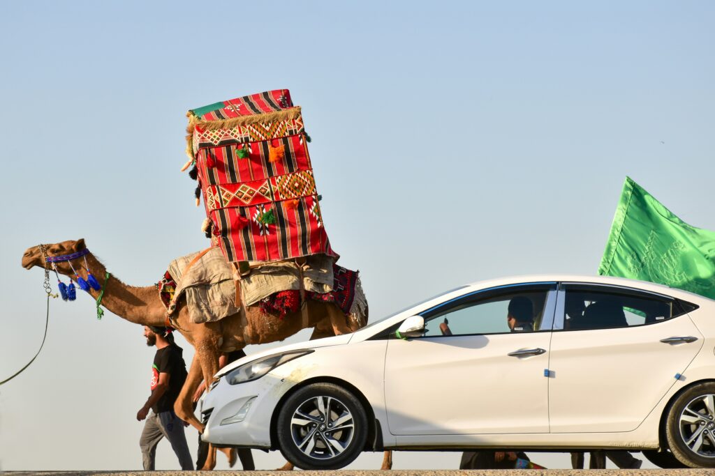 White Car in Desert and Camel in Background Safari Dubai Timings