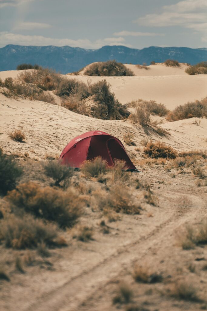 patrick-hendry-qWCmfNZlzQk-unsplash
