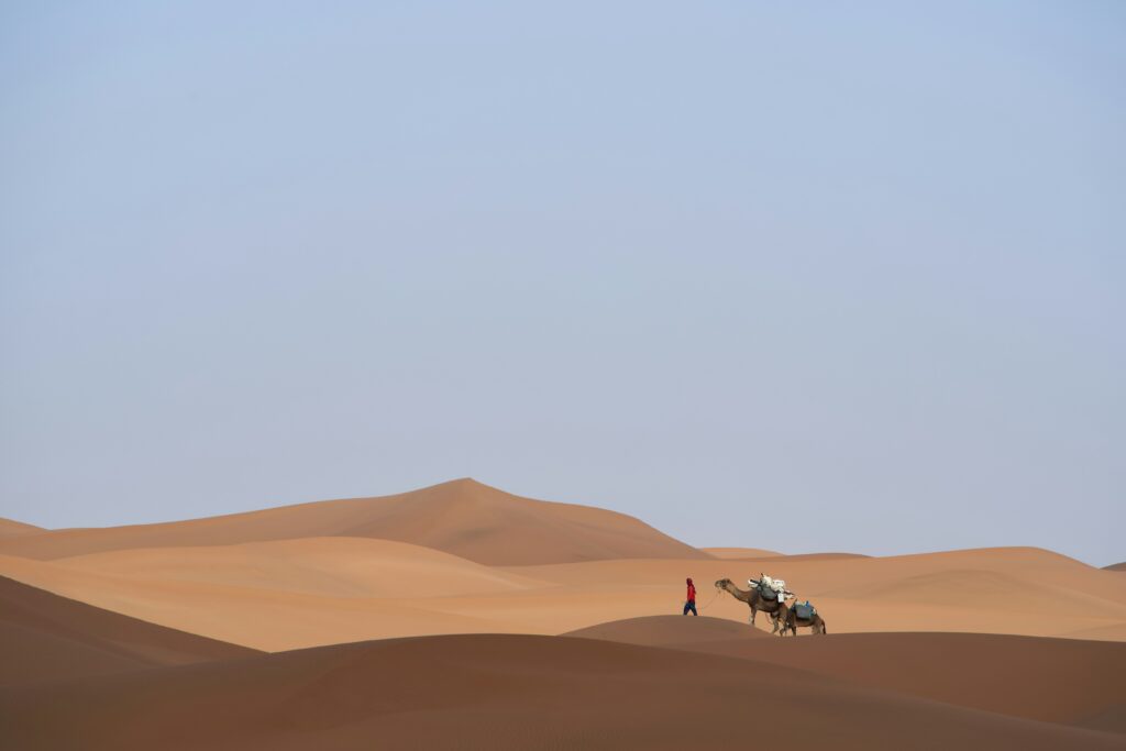 Red Dune Safari Dubai A Man With camel in Red Dune Safari Dubai